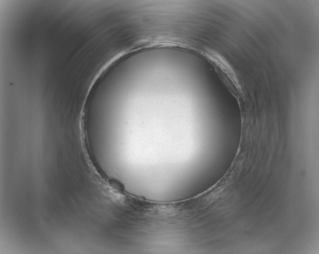 X0000073831190200608311900