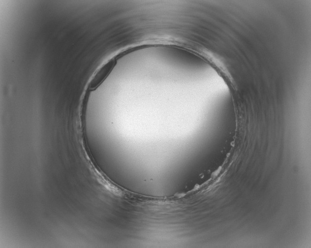 X0000073831192200608311900