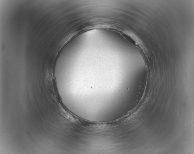 X0000073831193200608311900