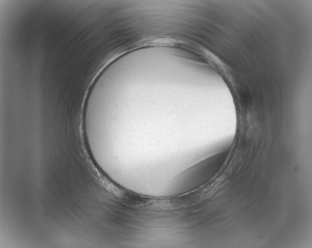 X0000073831194200608311900