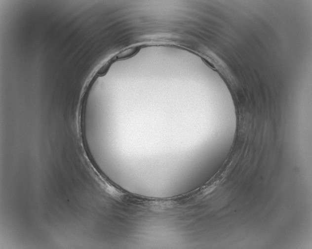 X0000073831196200608311900