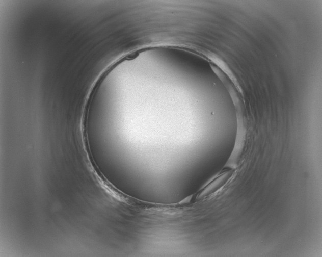 X0000073831197200608311900