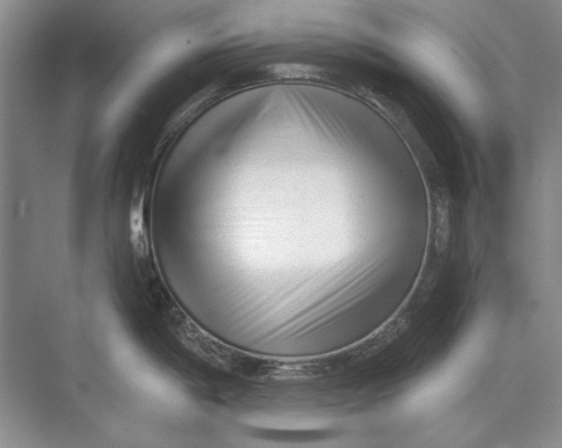 X0000073831198200608311900