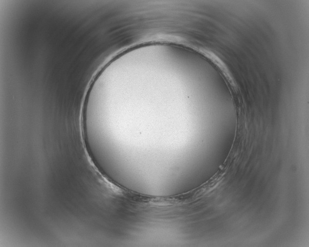 X0000073831199200608311900