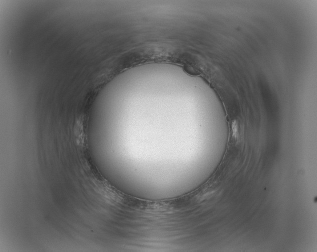 X0000073831203200608311859