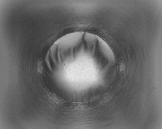 X0000073831204200608311859