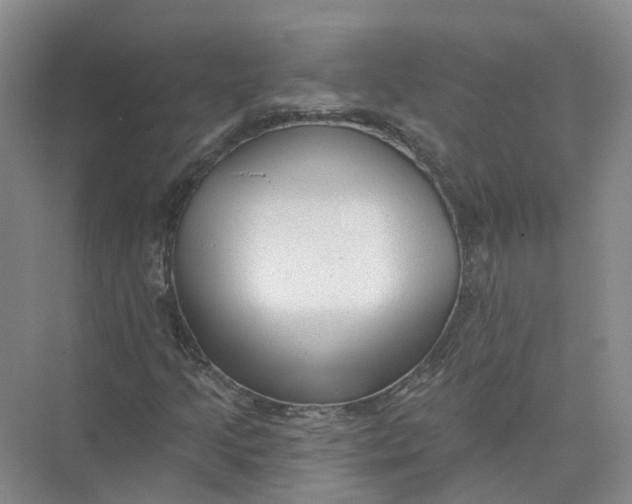 X0000073831205200608311859