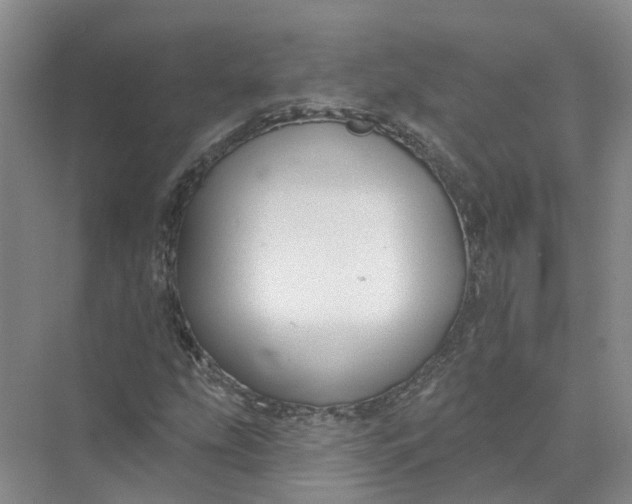 X0000073831207200608311900