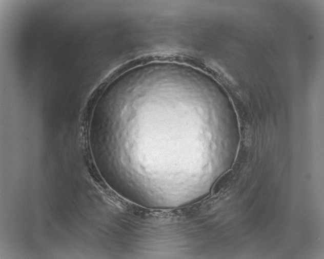 X0000073831208200608311900