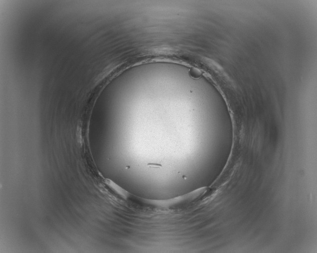 X0000073831209200608311900