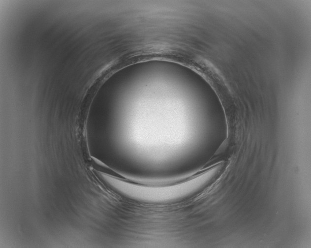 X0000073831210200608311900