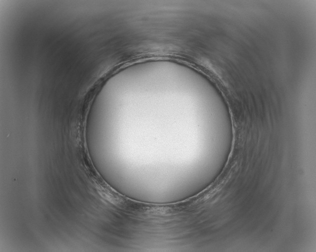 X0000073831211200608311900