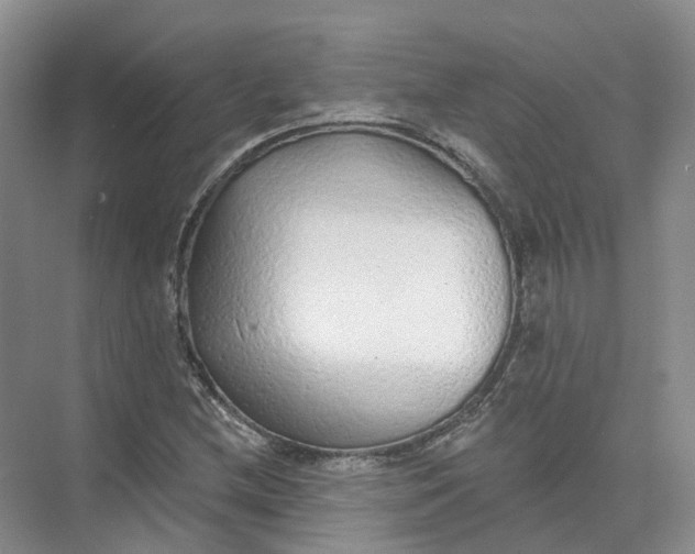 X0000073831212200608311900