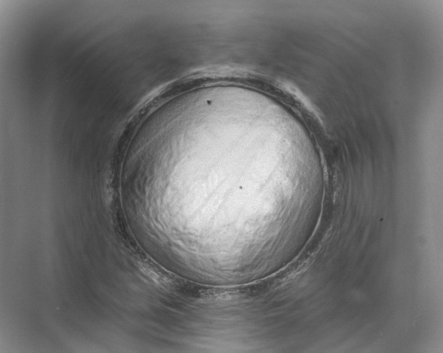 X0000073831213200608311900