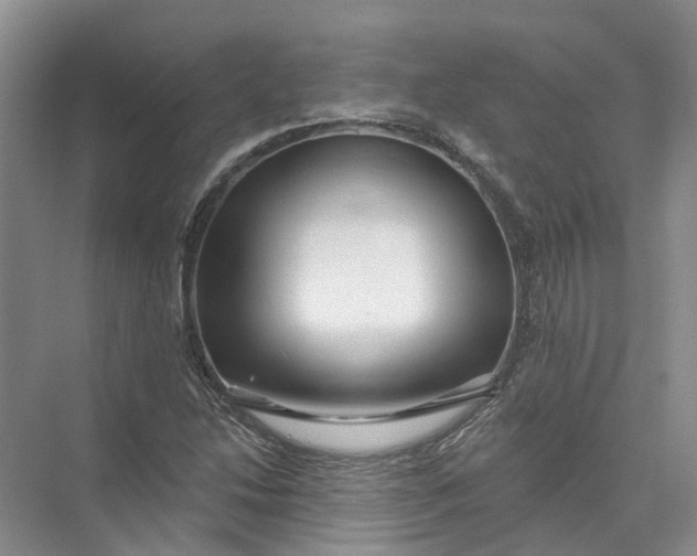 X0000073831214200608311900