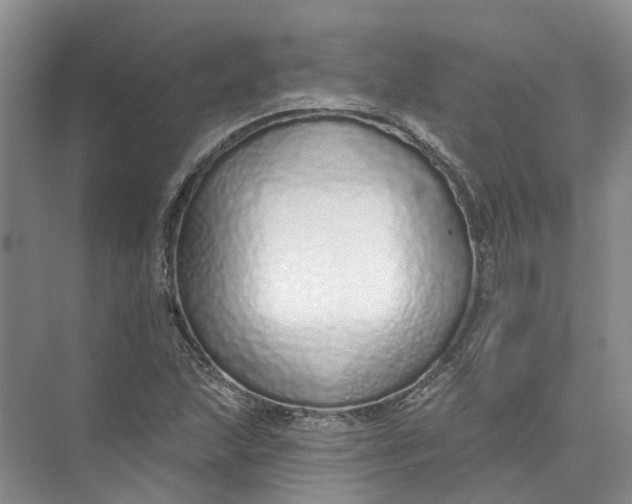 X0000073831215200608311900