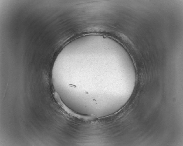 X0000073831217200608311900