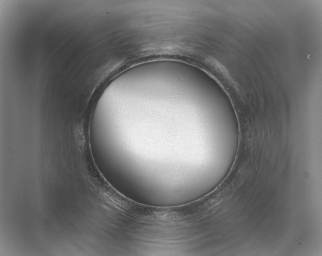 X0000073831218200608311900