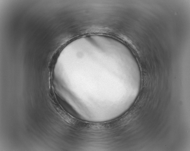 X0000073831219200608311900