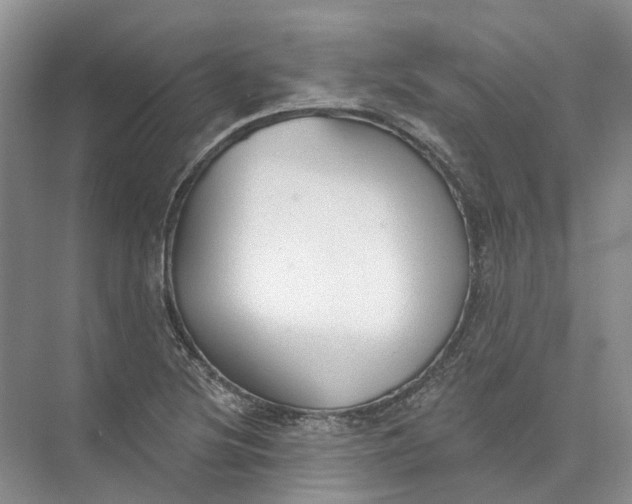 X0000073831220200608311900