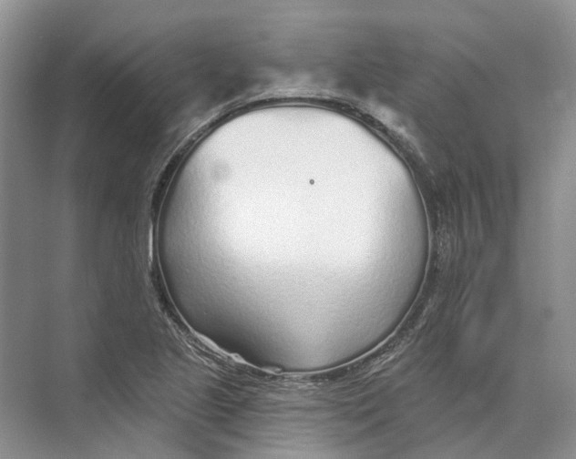 X0000073831221200608311900