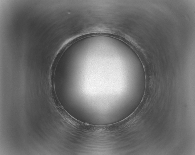 X0000073831222200608311900