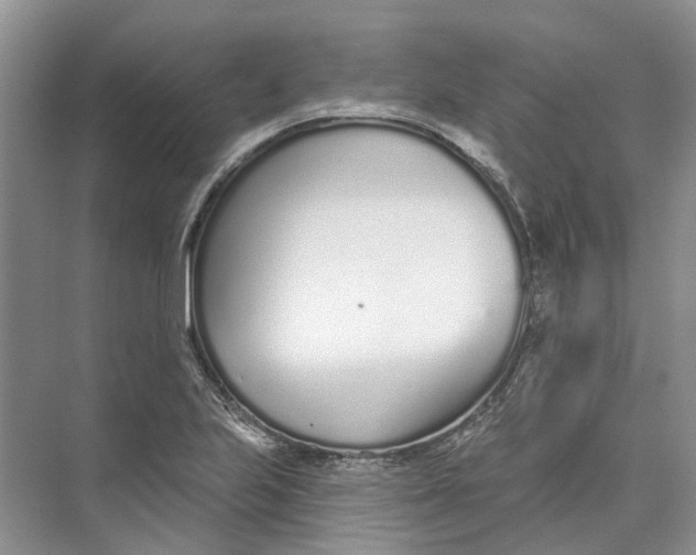 X0000073831223200608311900