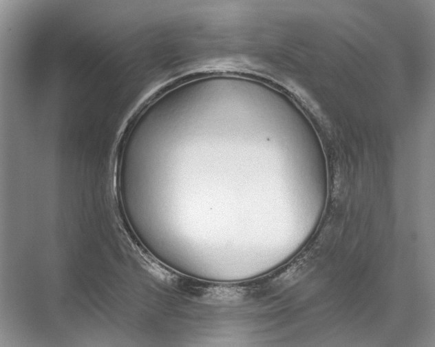 X0000073831224200608311900