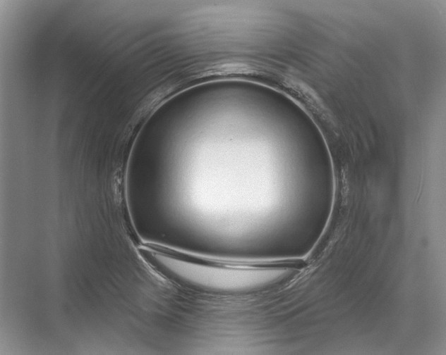 X0000073831225200608311900