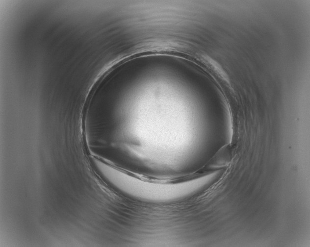 X0000073831226200608311900