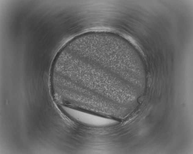 X0000073831229200608311900