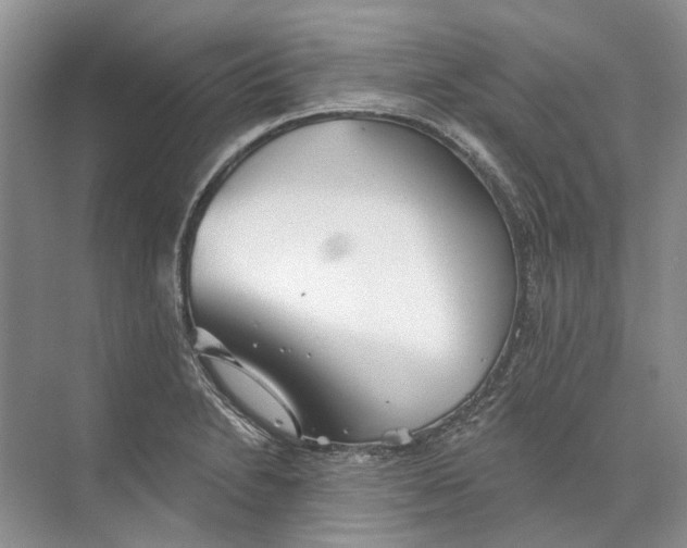 X0000073831230200608311900