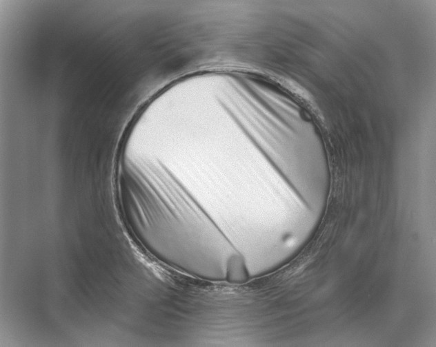 X0000073831231200608311900