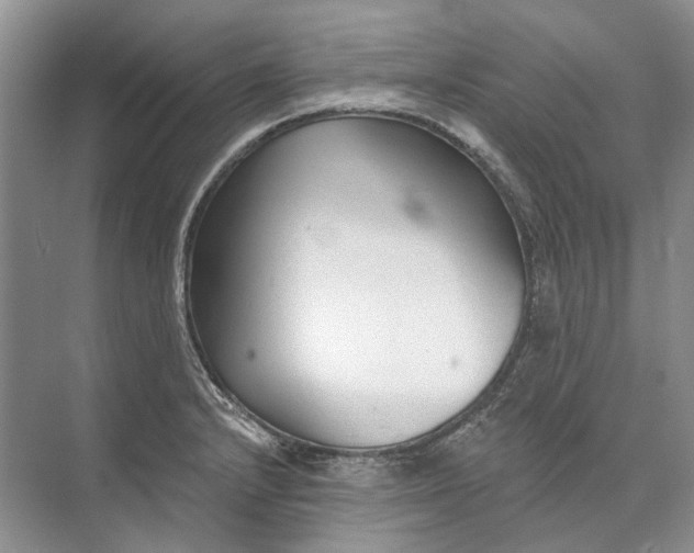 X0000073831232200608311900