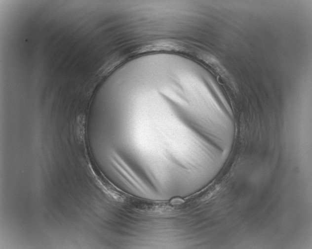 X0000073831233200608311900