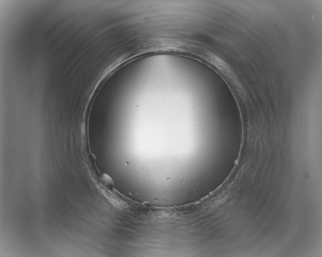 X0000073831234200608311900