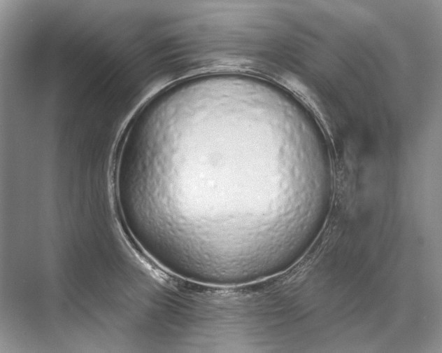 X0000073831235200608311900