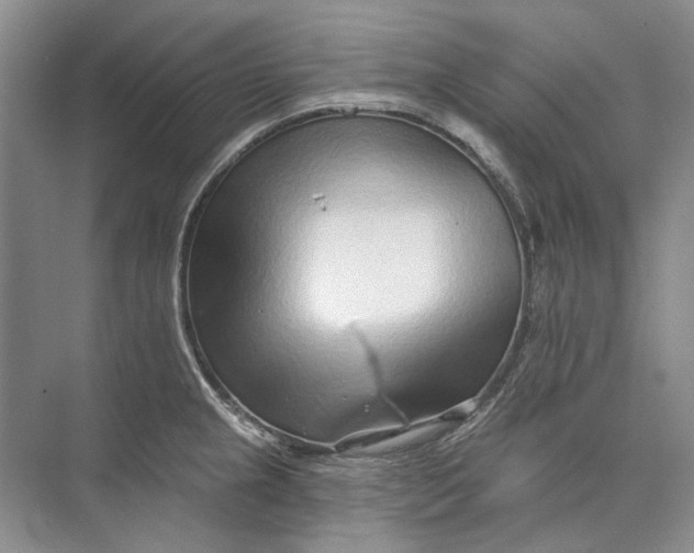 X0000073831237200608311900