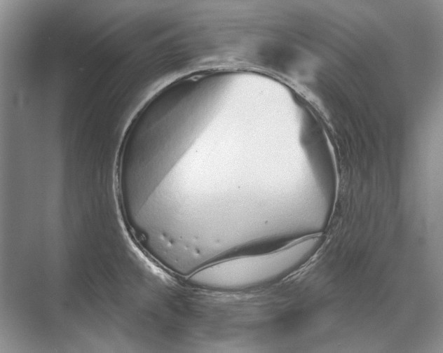 X0000073831239200608311900