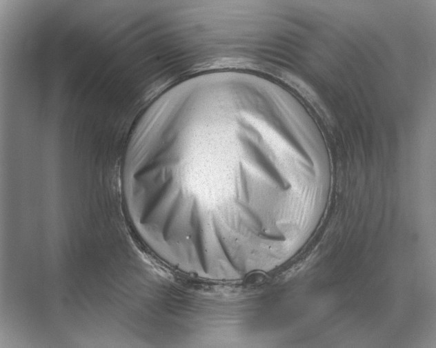 X0000073831241200608311900