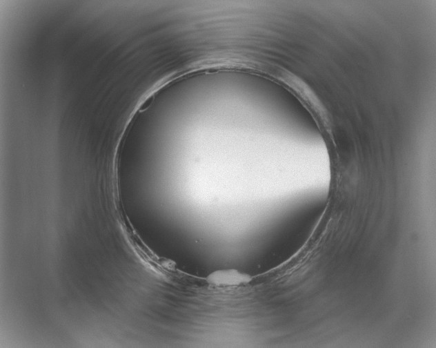 X0000073831242200608311900