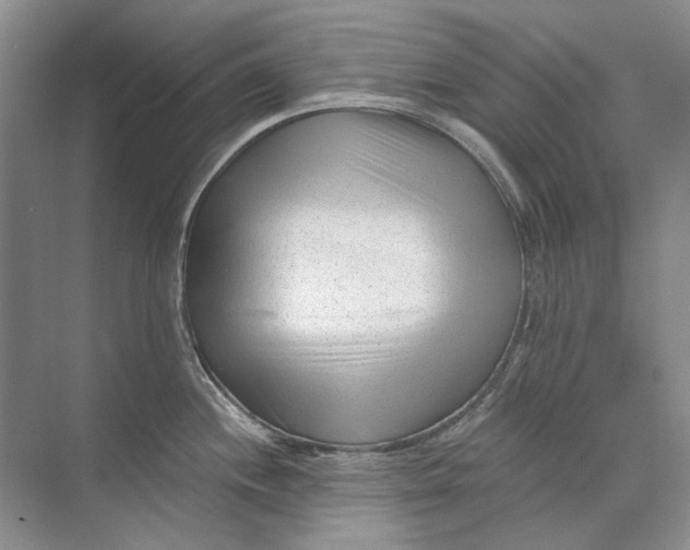 X0000073831244200608311900