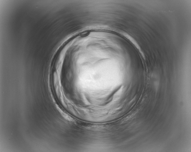 X0000073831245200608311900