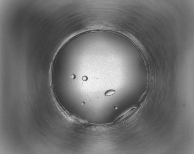 X0000073831246200608311900