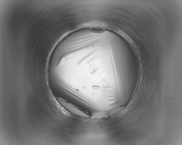 X0000073831248200608311900