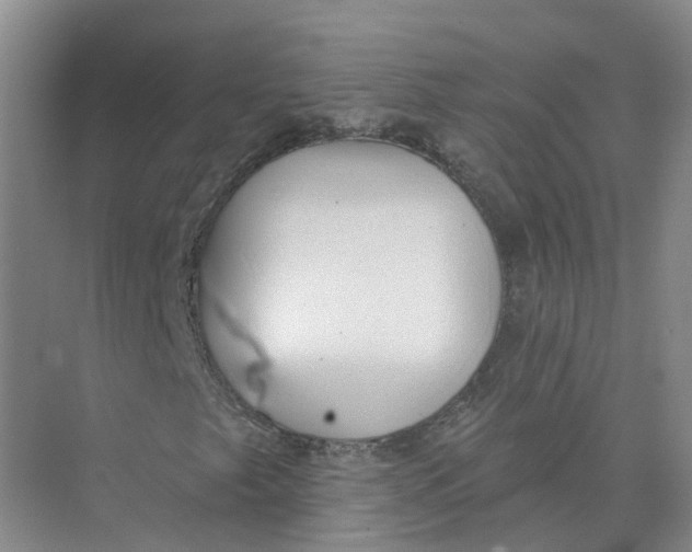 X0000073831249200608311859