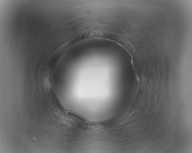 X0000073831250200608311859