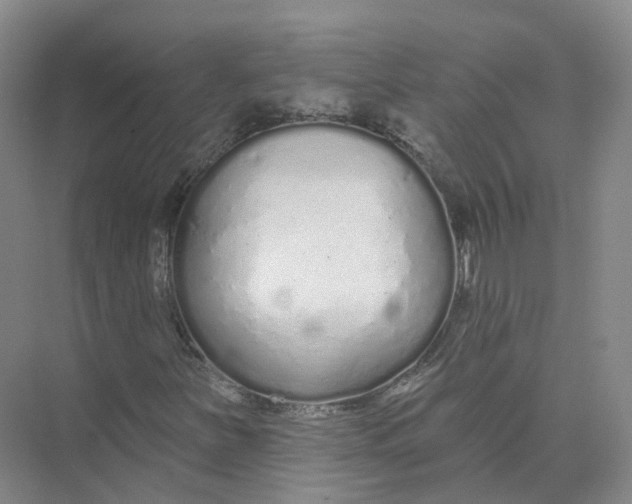 X0000073831251200608311859