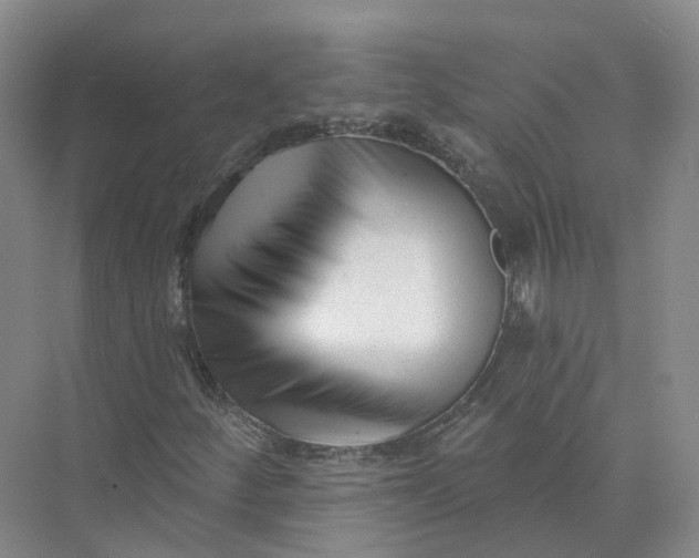 X0000073831252200608311859