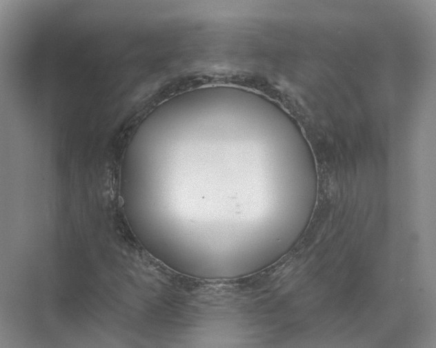 X0000073831253200608311859